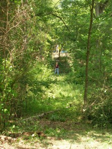 Mapping through dense vegetation, 2007.