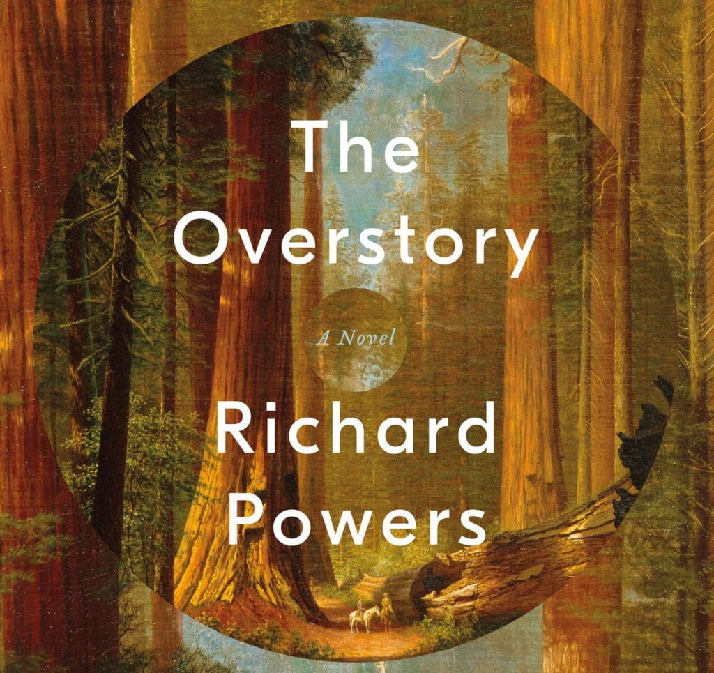 nyt book review overstory